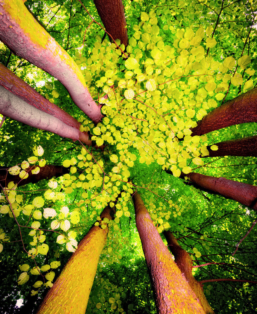 05 - природа и пейзажи