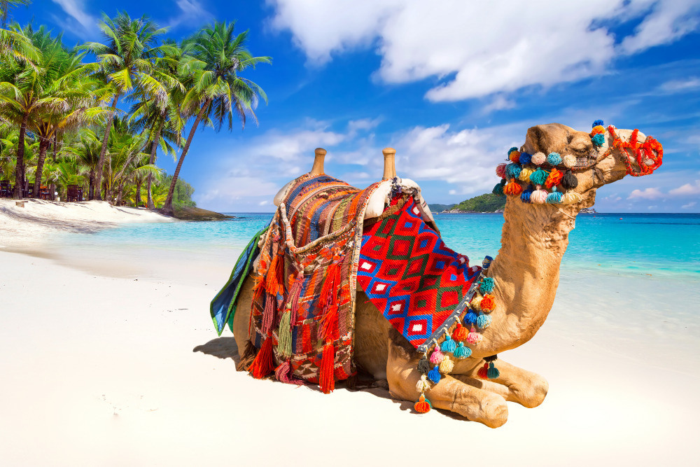 04 — животный и водный мир