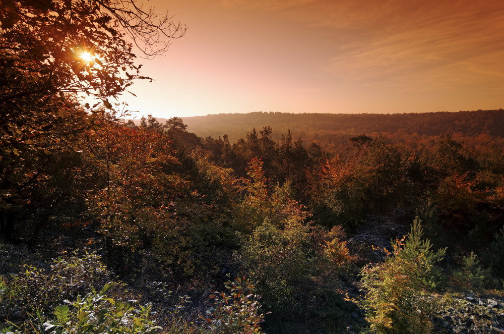 05 - природа и пейзажи