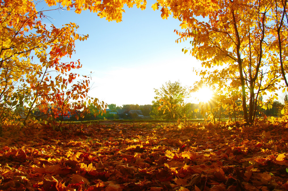 05 - природа и пейзажи