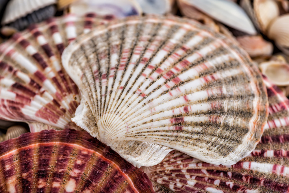 16 — разные фоны