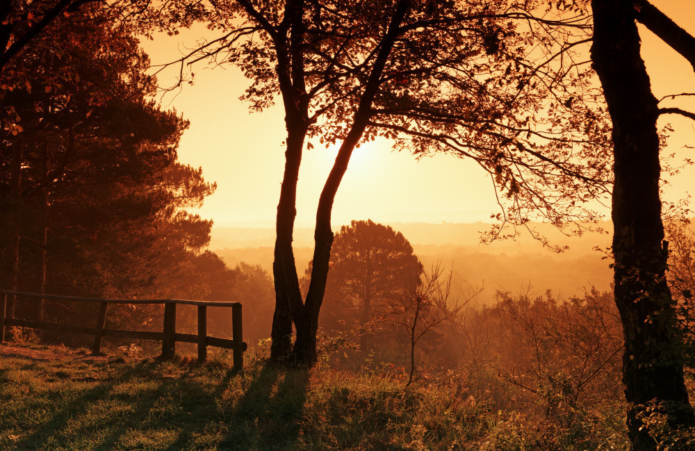 05 - природа и пейзажи