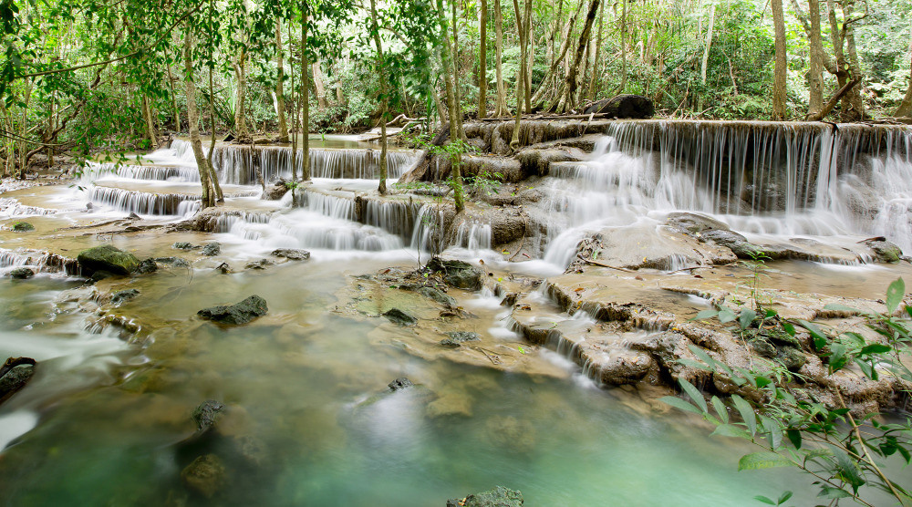 05 - природа и пейзажи