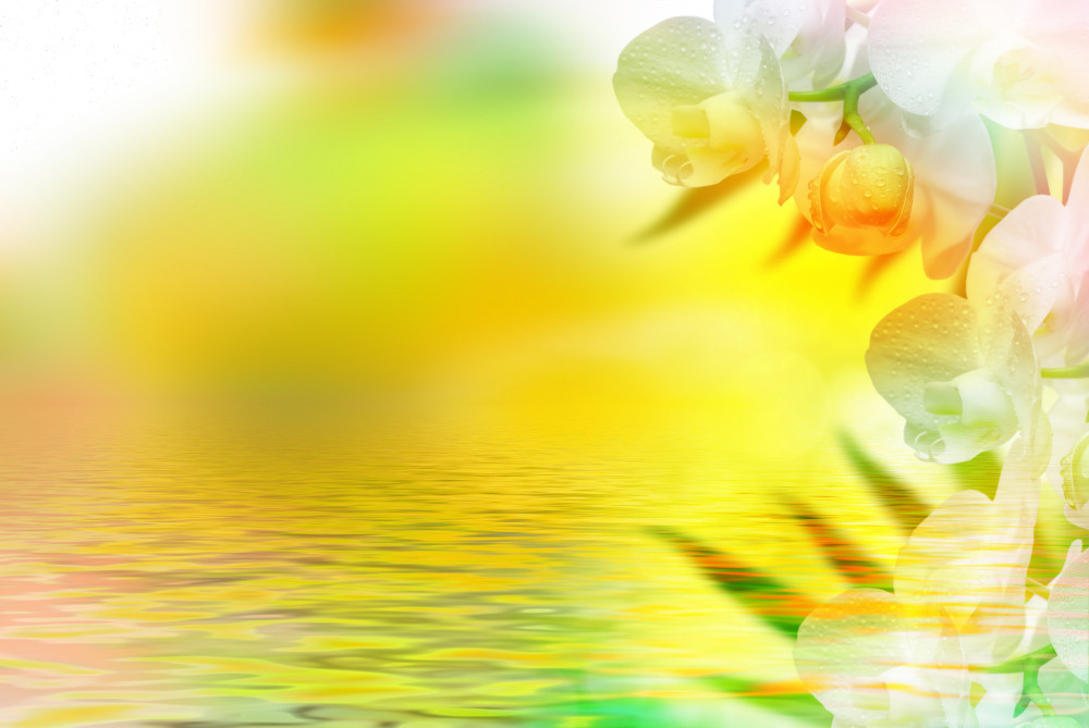 03 — цветы — растения — фрукты