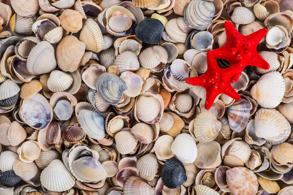 16 — разные фоны