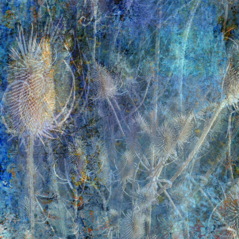 02 — узоры — принты — предметы