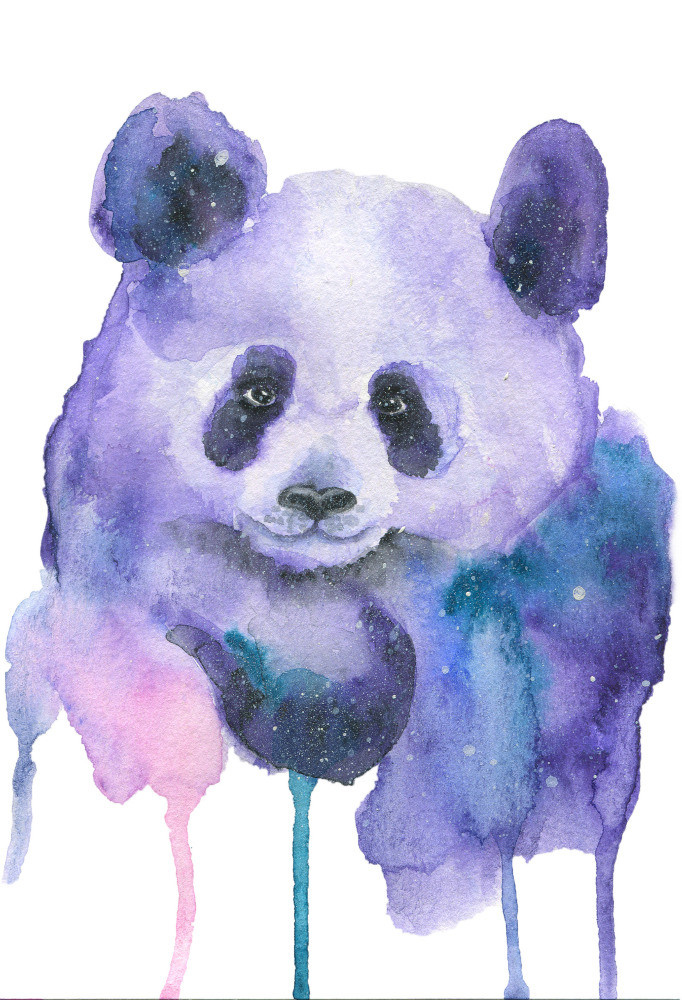 04 — животный и водный мир