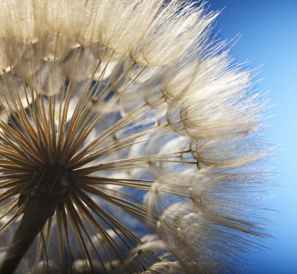 05 - природа и пейзажи