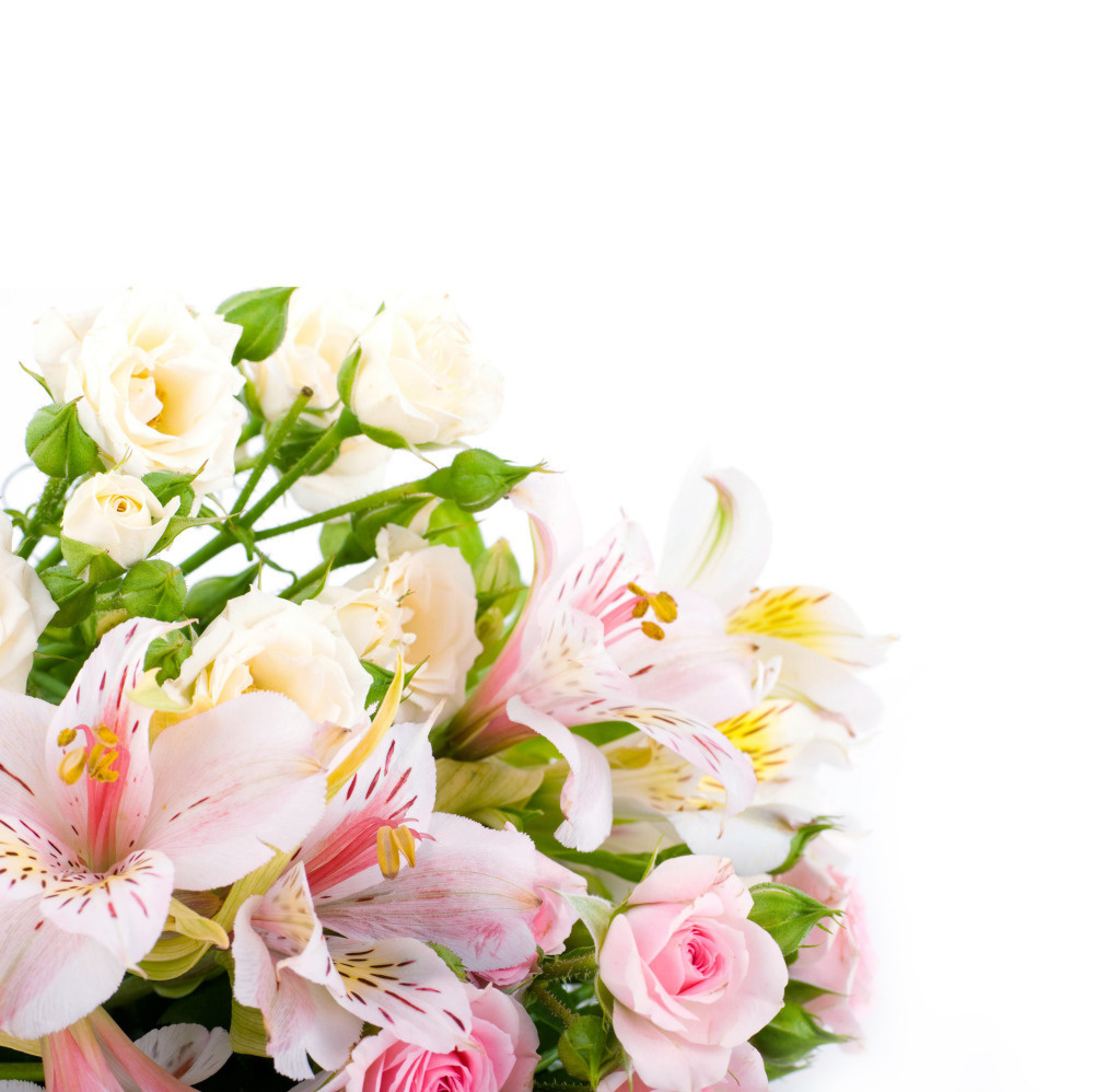 03 — цветы — растения — фрукты