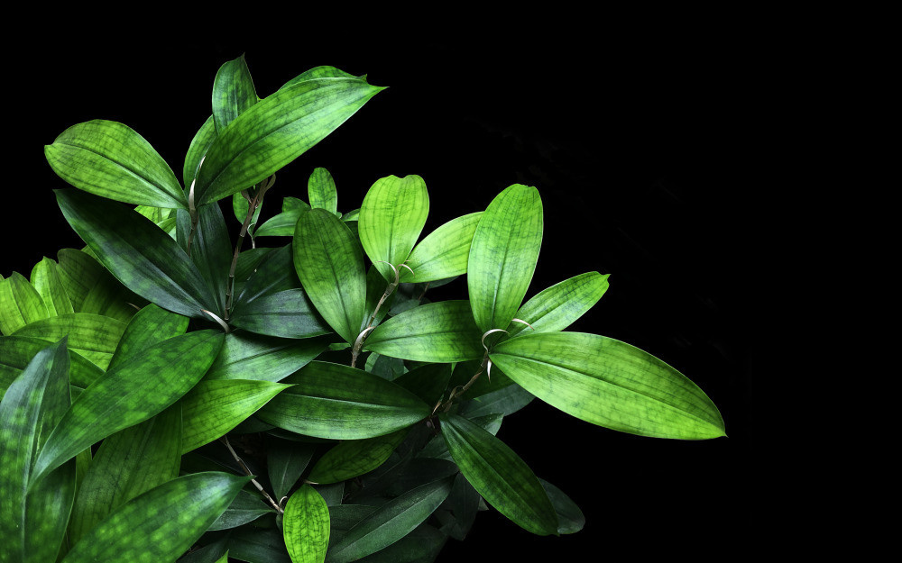 05 - природа и пейзажи