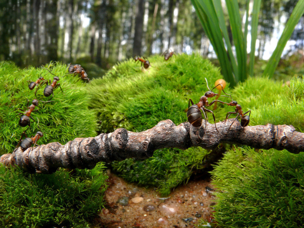 17 — арт, концепты