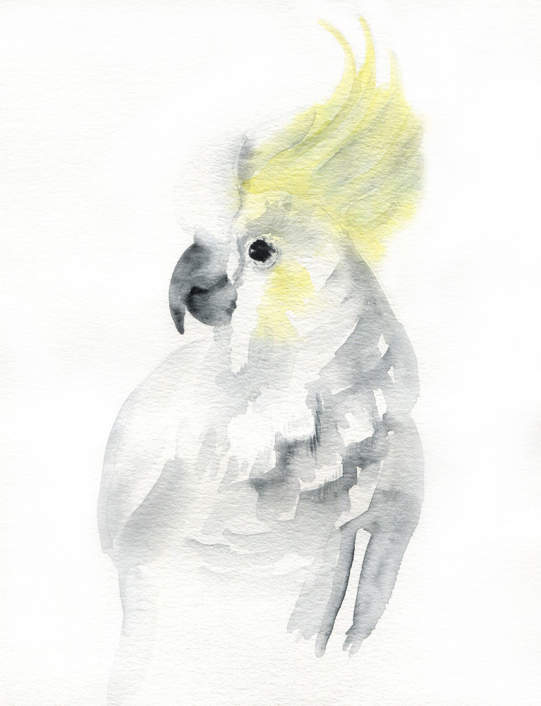 04 — животный и водный мир