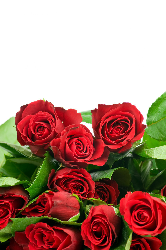 03 — цветы — растения — фрукты