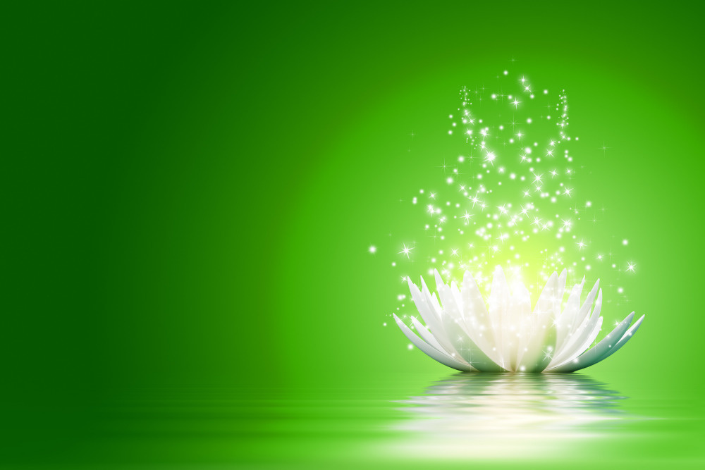 03 — цветы — растения — фрукты