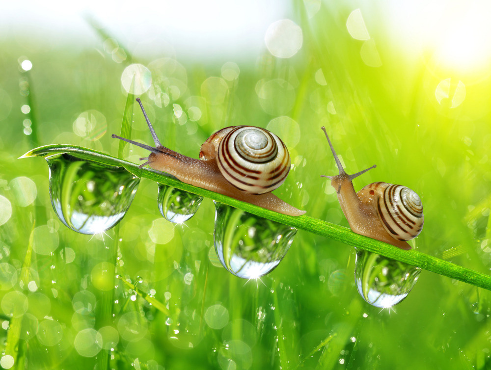 05 - природа и пейзажи