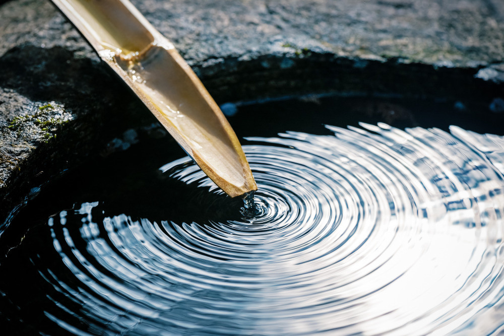 05 - природа и пейзажи