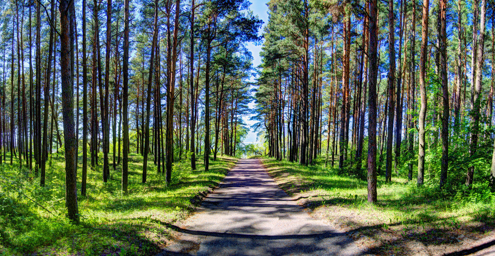 05 - природа и пейзажи