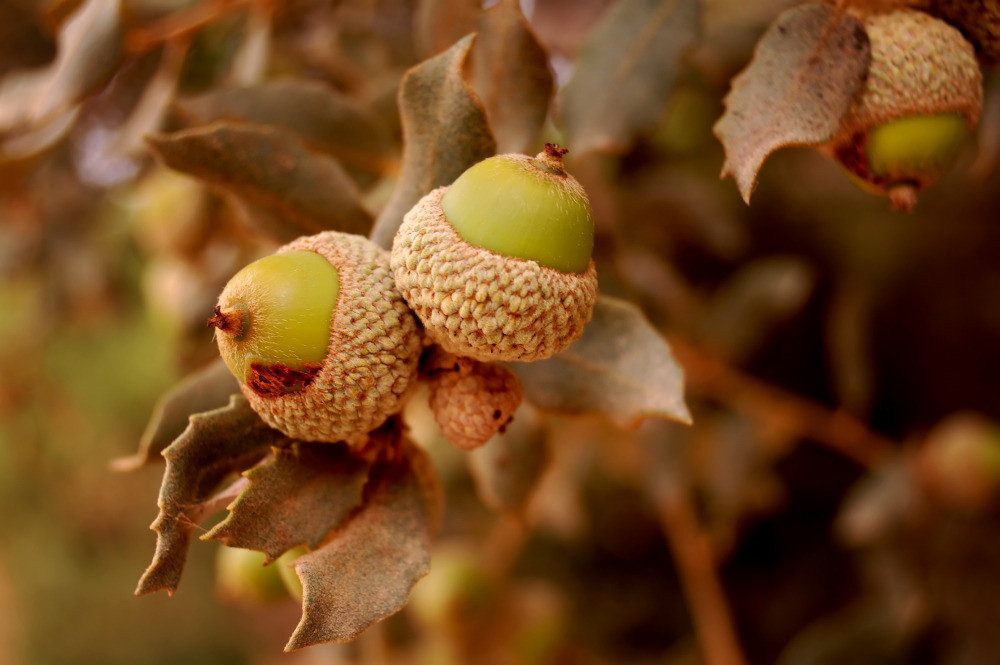 05 - природа и пейзажи