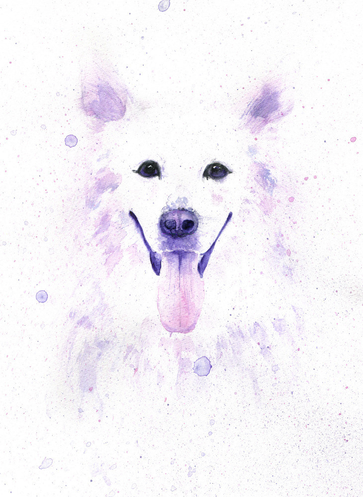 04 — животный и водный мир