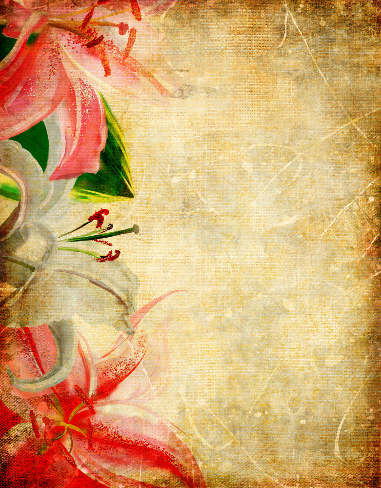 02 — узоры — принты — предметы