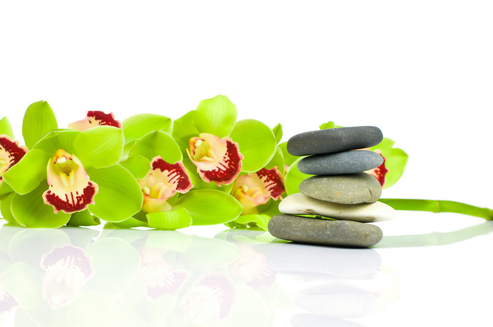 03 — цветы — растения — фрукты