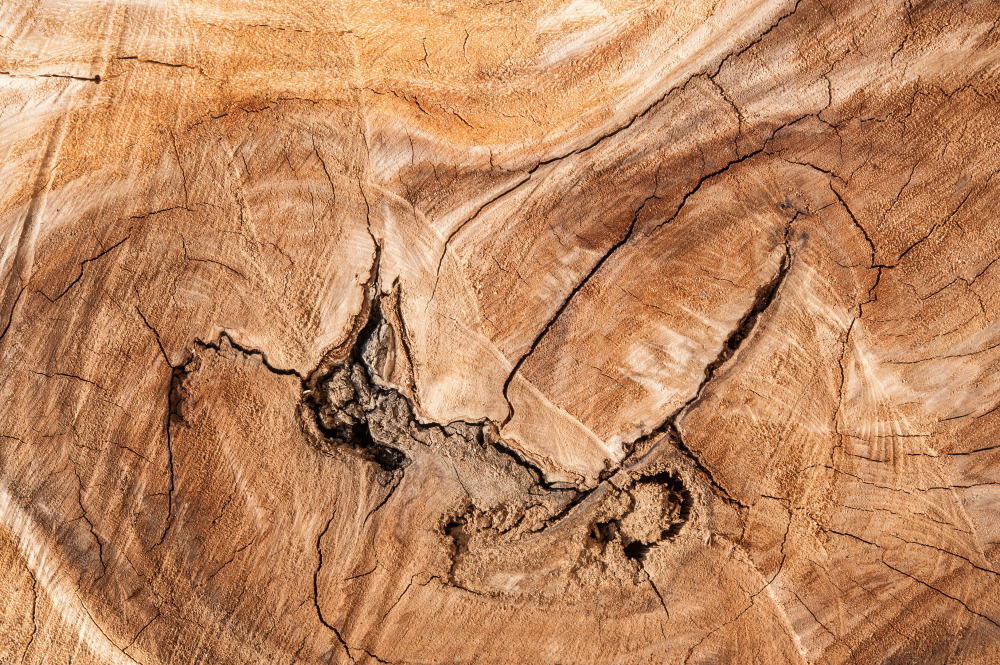 14 — деревянные фоны