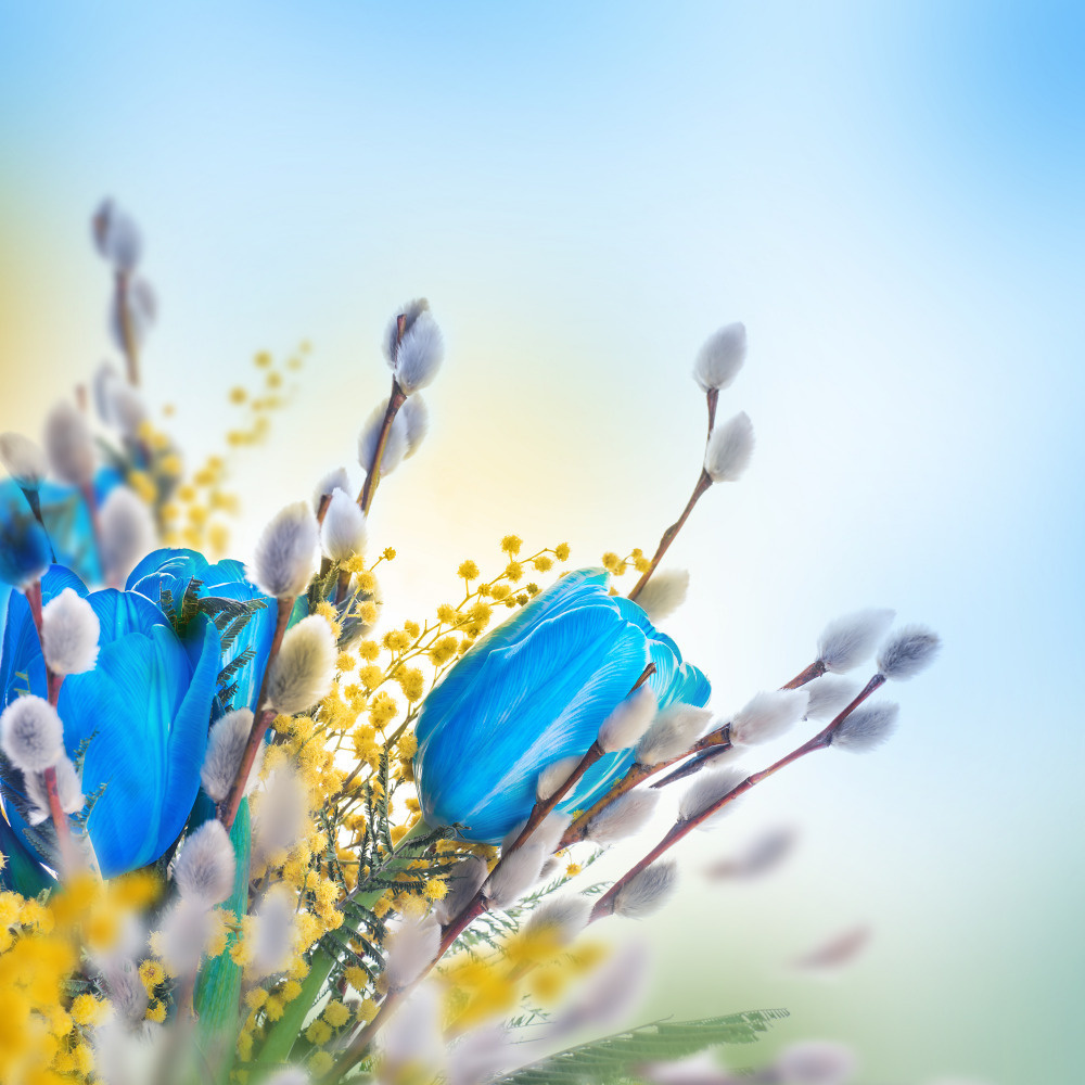 03 — цветы — растения — фрукты