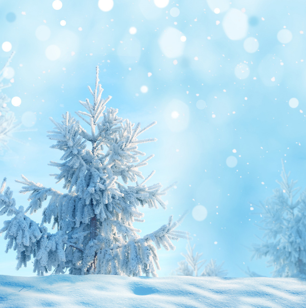 05 - природа и пейзажи