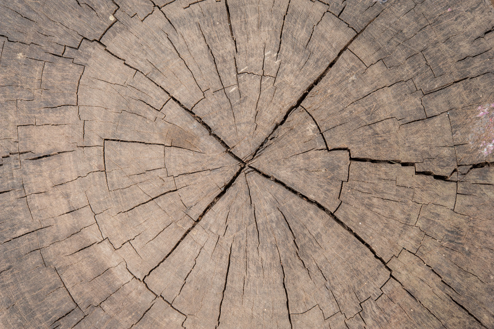 14 — деревянные фоны