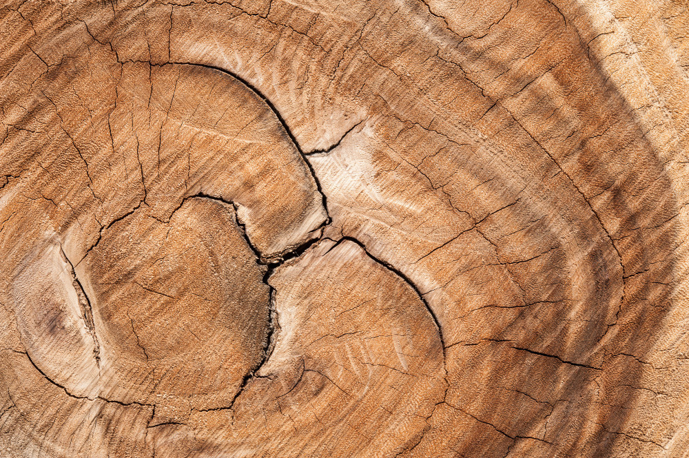 14 — деревянные фоны