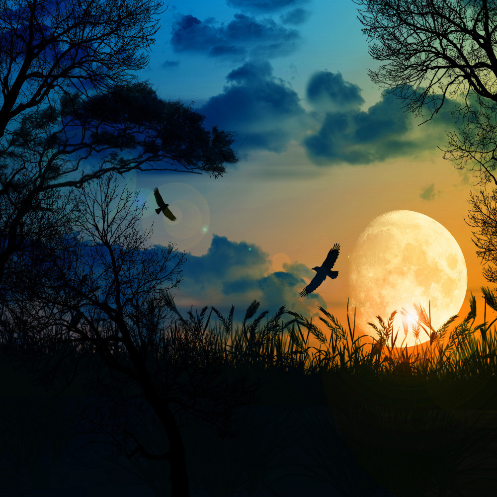 05 - природа и пейзажи