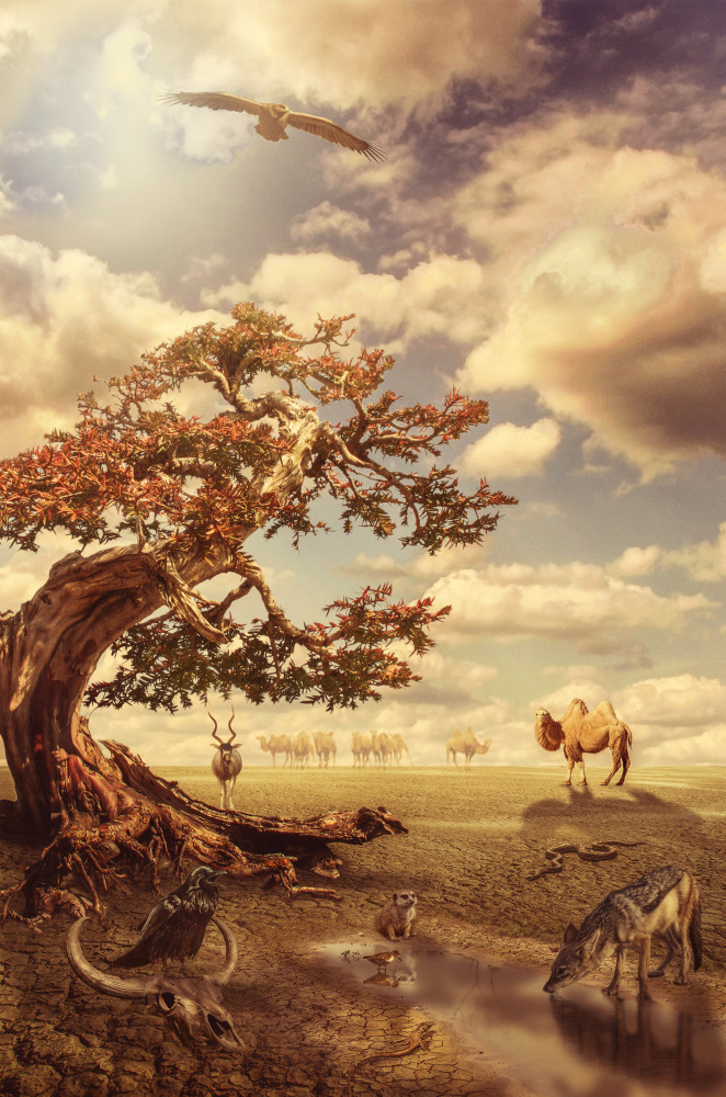 17 — арт, концепты