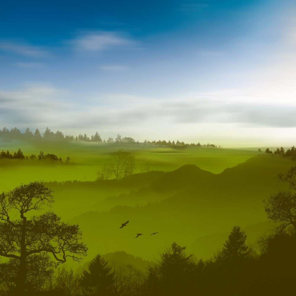 05 - природа и пейзажи