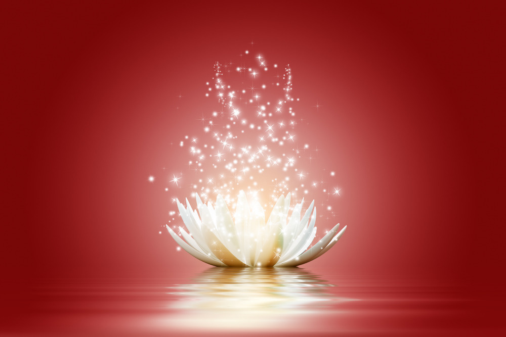 03 — цветы — растения — фрукты