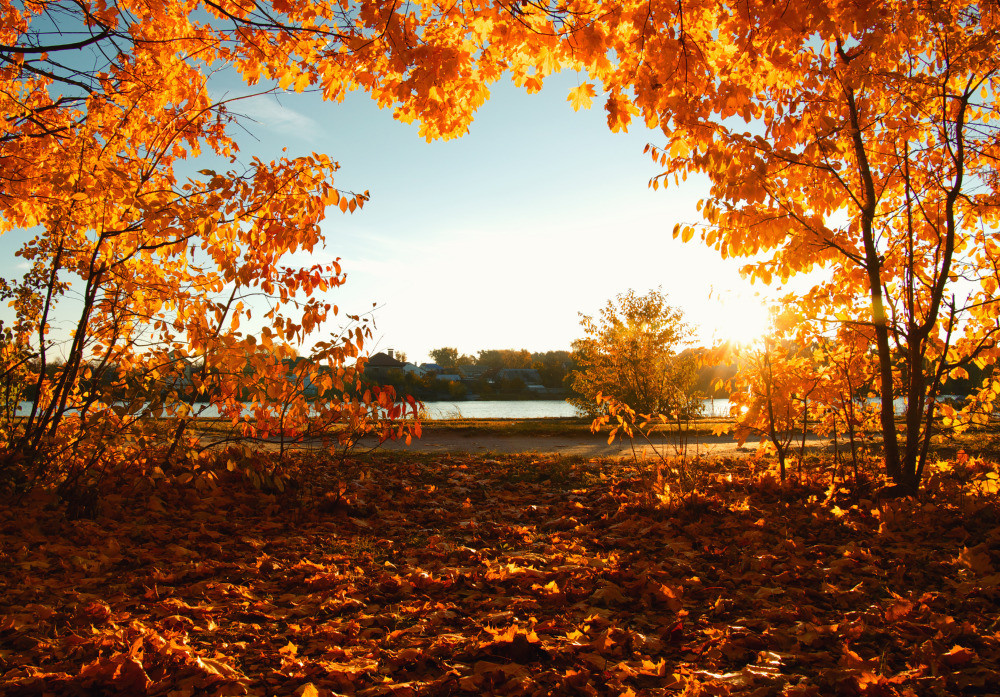 05 - природа и пейзажи