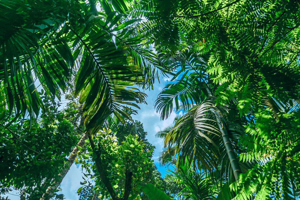 05 - природа и пейзажи