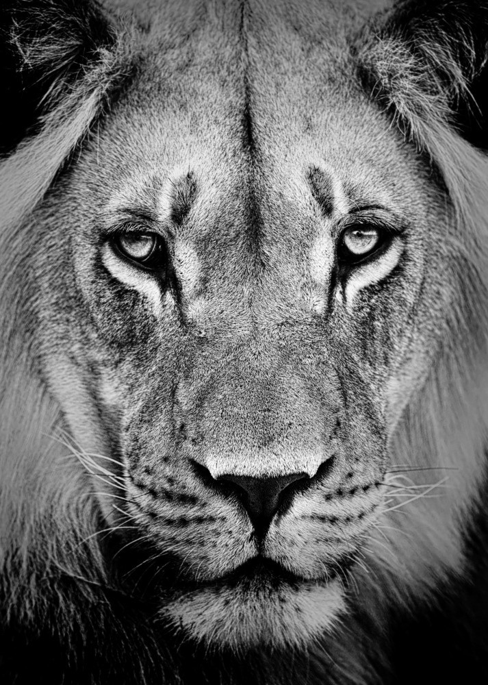 04 — животный и водный мир