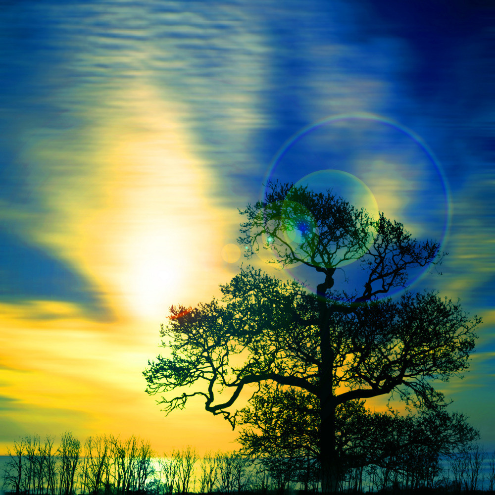 05 - природа и пейзажи