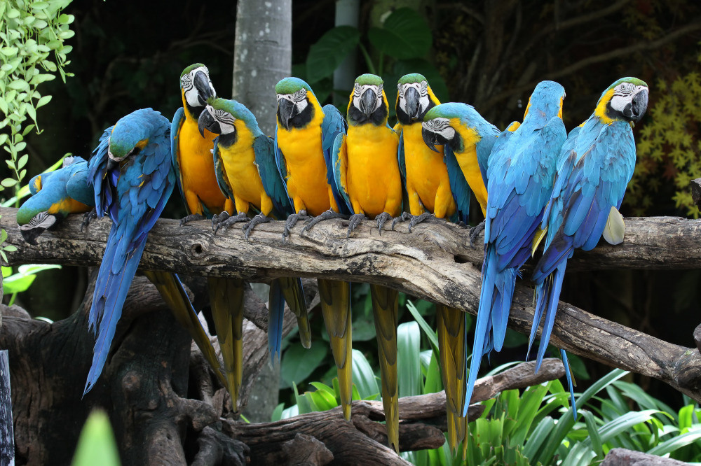 04 — животный и водный мир