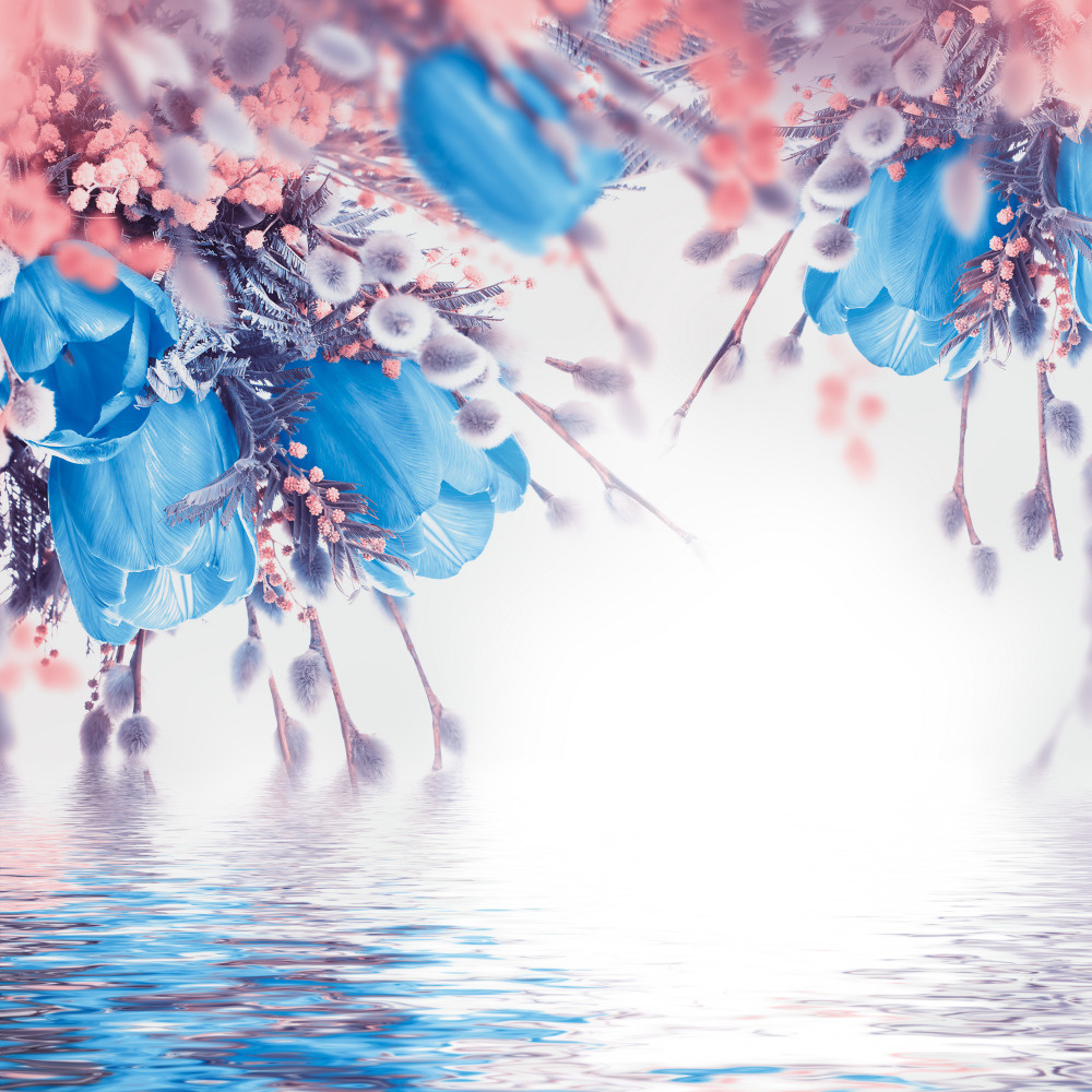 03 — цветы — растения — фрукты