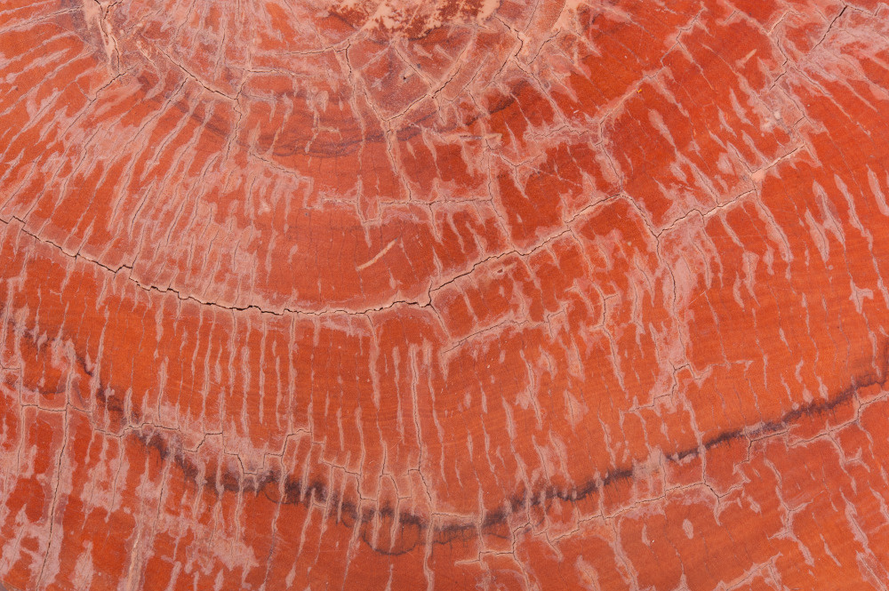 14 — деревянные фоны