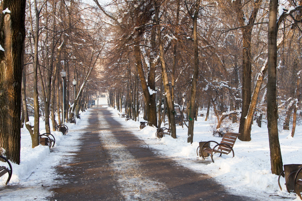 05 - природа и пейзажи