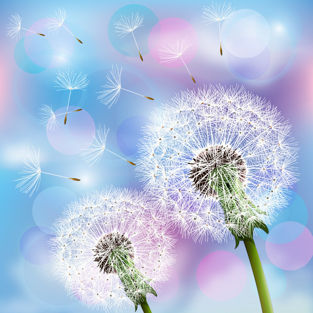 08 — дизайнерские принты