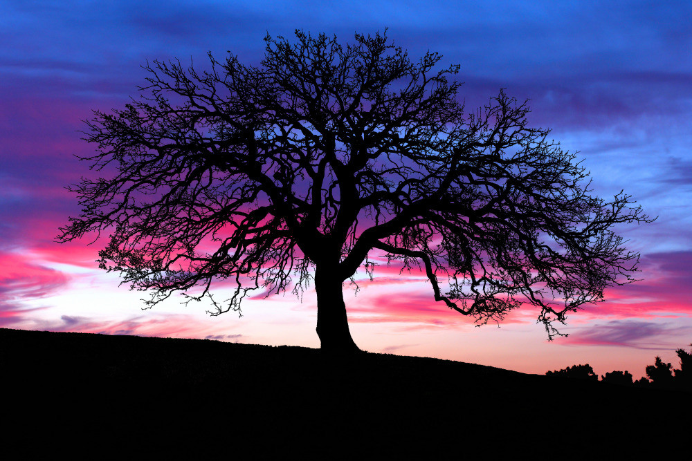 05 - природа и пейзажи