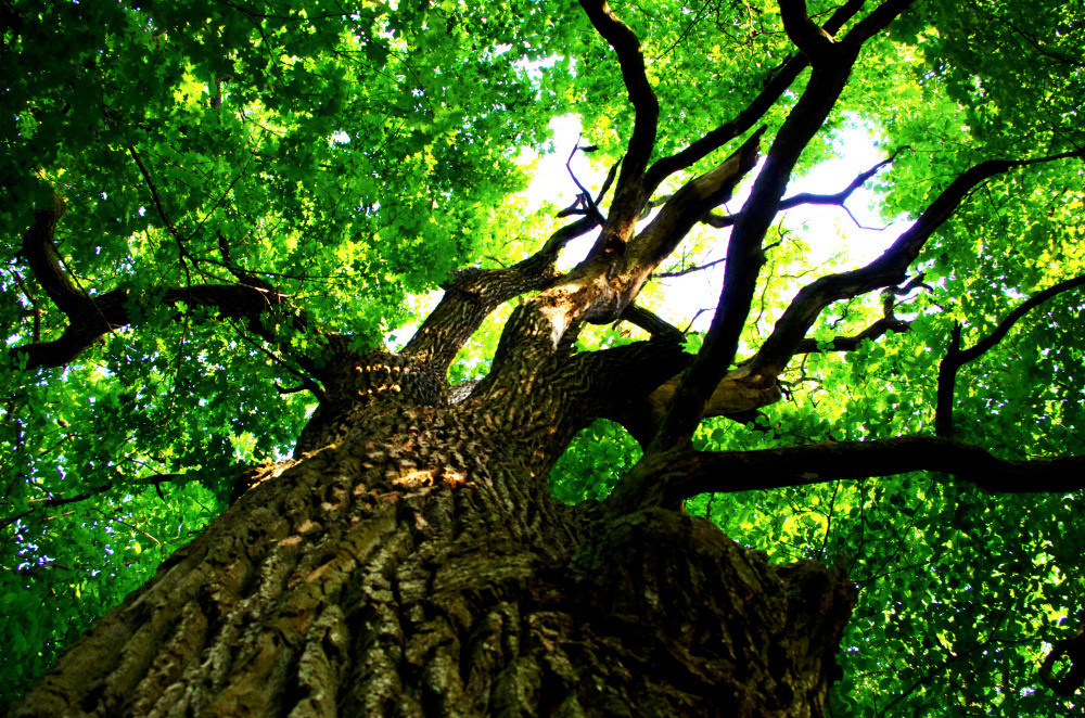 05 - природа и пейзажи