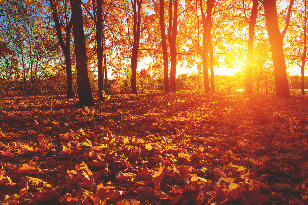 05 - природа и пейзажи