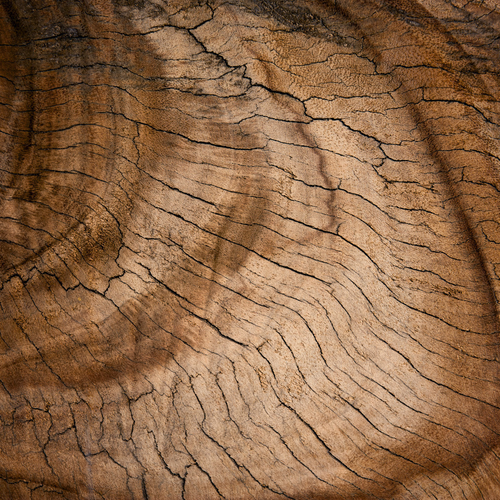 14 — деревянные фоны