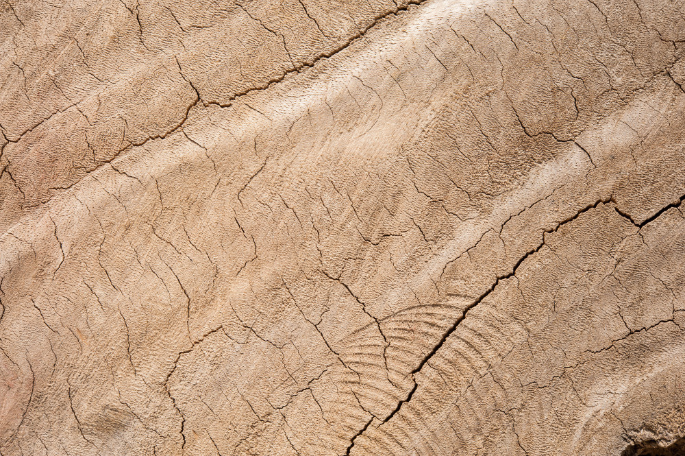 14 — деревянные фоны