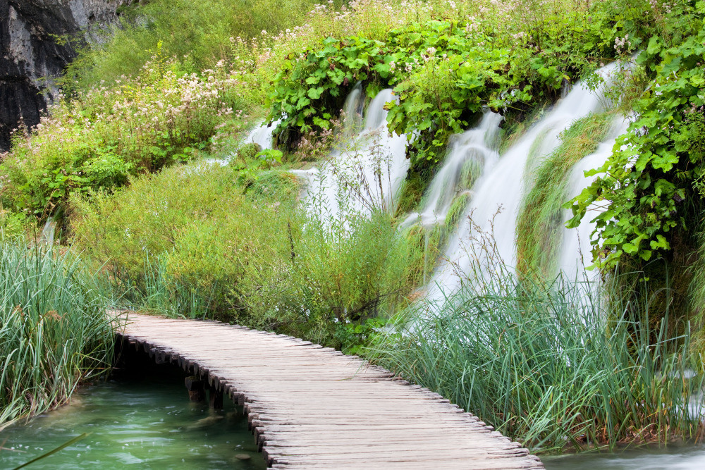 05 - природа и пейзажи