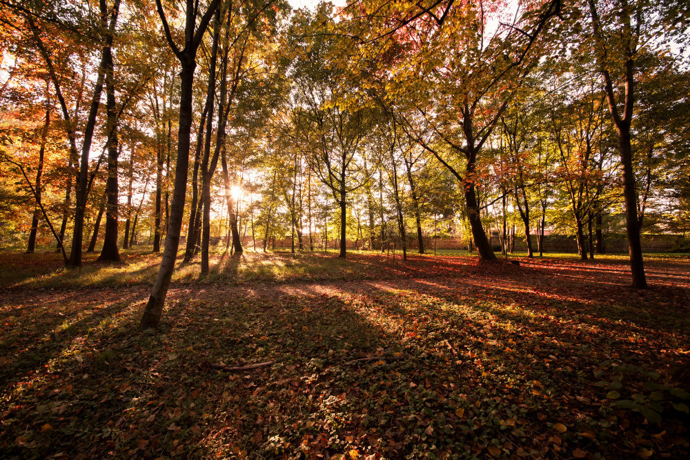 05 - природа и пейзажи